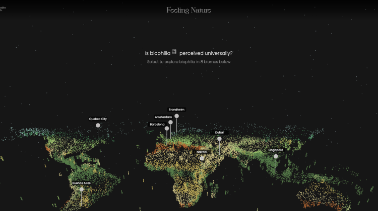 Screenshot of the landing page of Feeling Nature, shows a globe with various cities highlighted