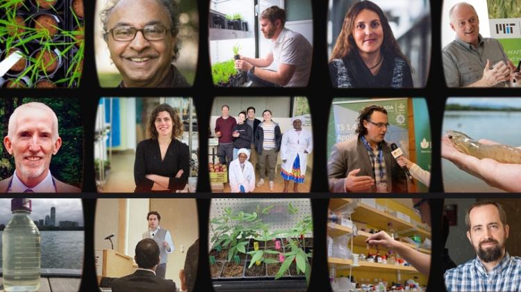 5 by 4 photo grid featuring researcher headshots; pics of researchers giving presentations or lab tours, working with students, and working with people in the field; along with other water and food images like water in jars, crop plants in a lab, and a hand holding a shrim