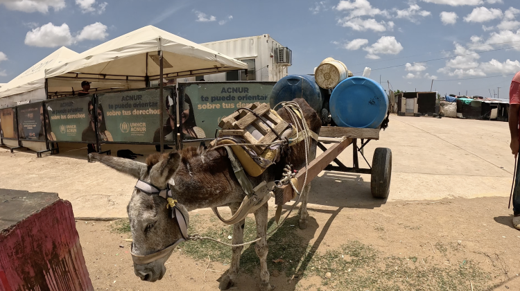Empowering Indigenous communities: A framework for climate resilience and migration planning in La Guajira, Colombia