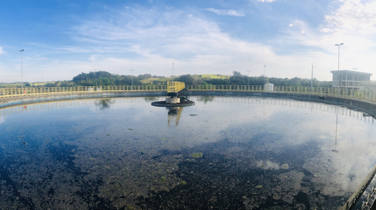 dspace mit thesis Image of a water storage container, the top of the water is covered an algae and one can view the entire surface because of a fish eye lens